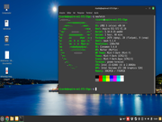  Linux Mint LMDE 5